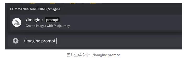 13152502.jpg